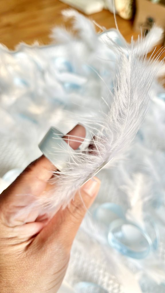 feathers on ribbon